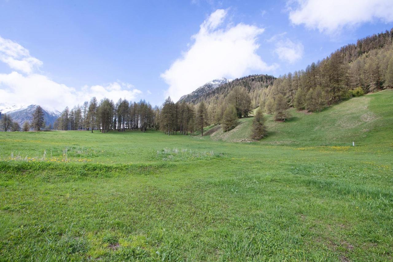 Appartamento Bait Dal Cucu App Livigno